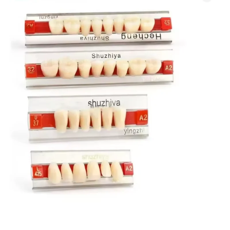 

84pcs Dental Synthetic Resin Teeth Denture Upper Lower A2/A3 Denture Acrylic Synthetic Resin Teeth Model