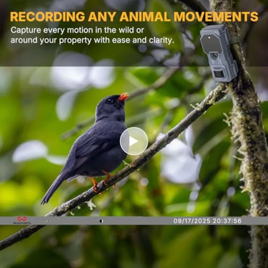 Trail camera used for wildlife tracking