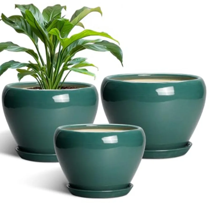 Ceramic Pots For Pl…