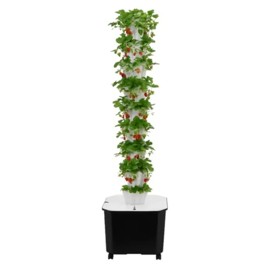 

10-Tier 50-Hole Vertical Hydroponic Growing System with Wheels Timer Indoor Outdoor Herb Garden Kit for Lettuce Strawberries Ve