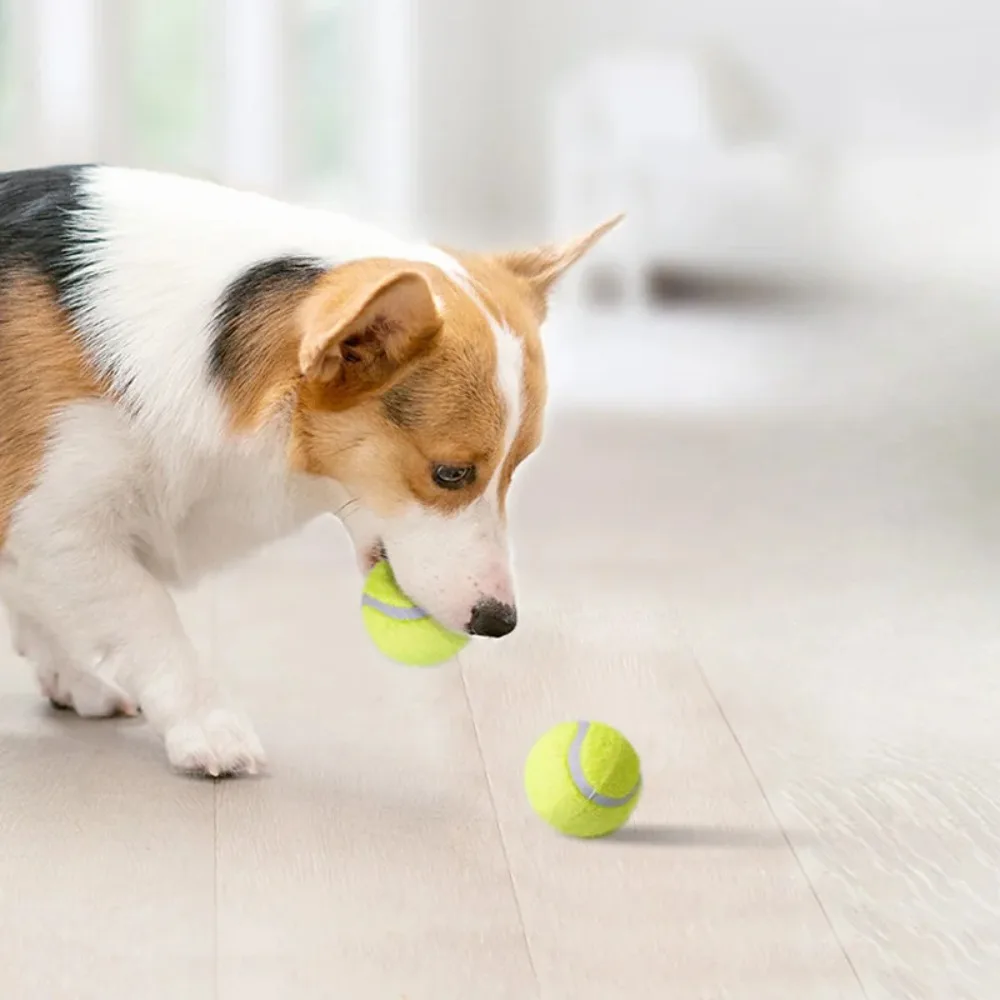Gummi-Tennisball Hundespielzeug Hochelastisch Gestreift Batteriefrei für Kleine Hunde Outdoor-Spiel – Detail 3