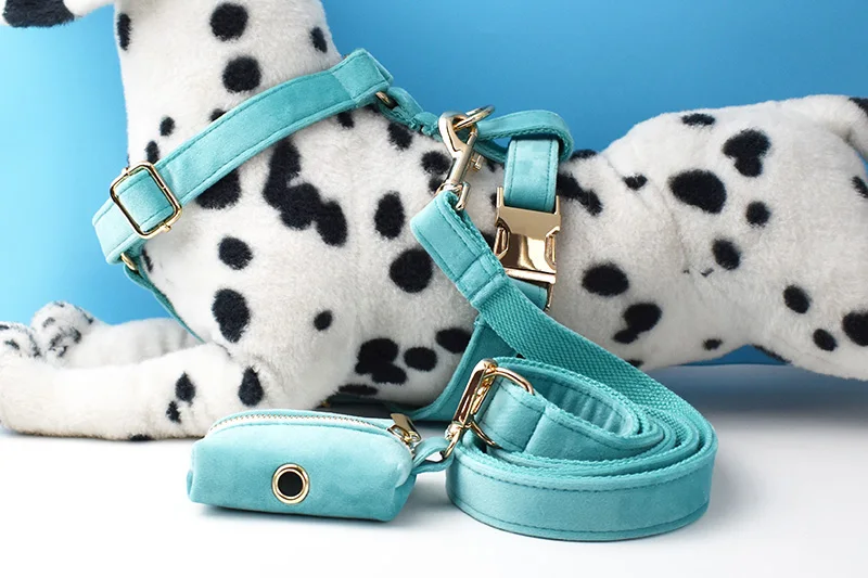 Türkisfarbenes Samt-Hundehalsband und Leinen-Set für Hunde, individuell graviertes Namensschild, Haustierbedarf, Hundeleine, Samt, 40 – Detail 2
