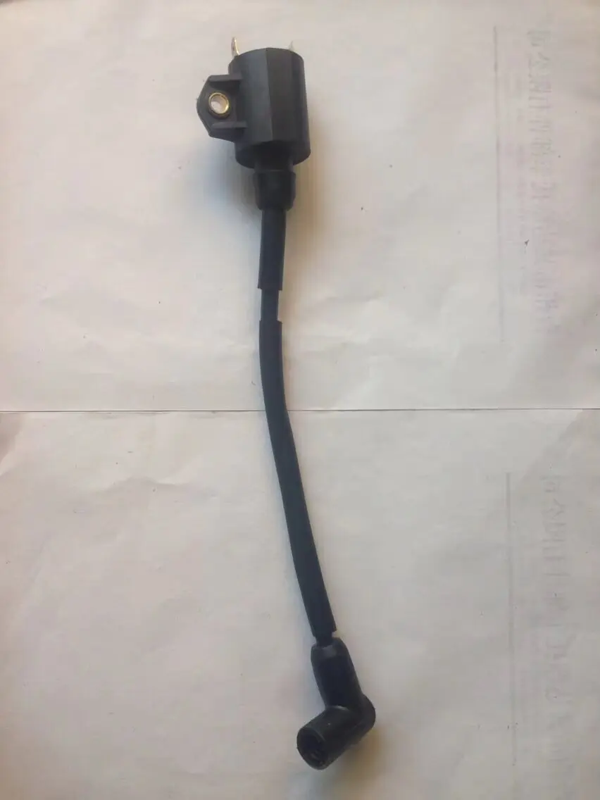 

New Arrival Hangkai 2 Stroke 6.0 Horsepower Marine Engines Boat Hook, Outboards motor Outboard Parts Ignition Coil