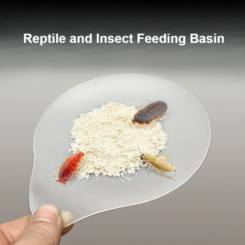 : Fütterung u. Wasserversorgungen