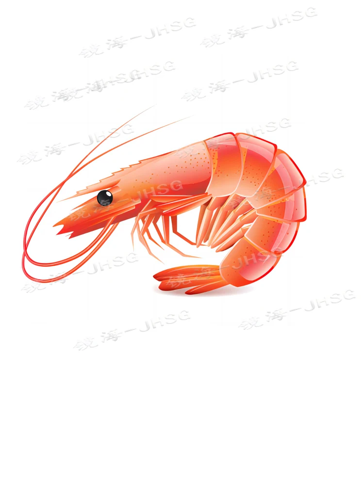 Shrimp Bait Salt Water Bay Surfing Fishing Sticker - Car Card Car Boat Sticker - Waterproof Vinyl Decal