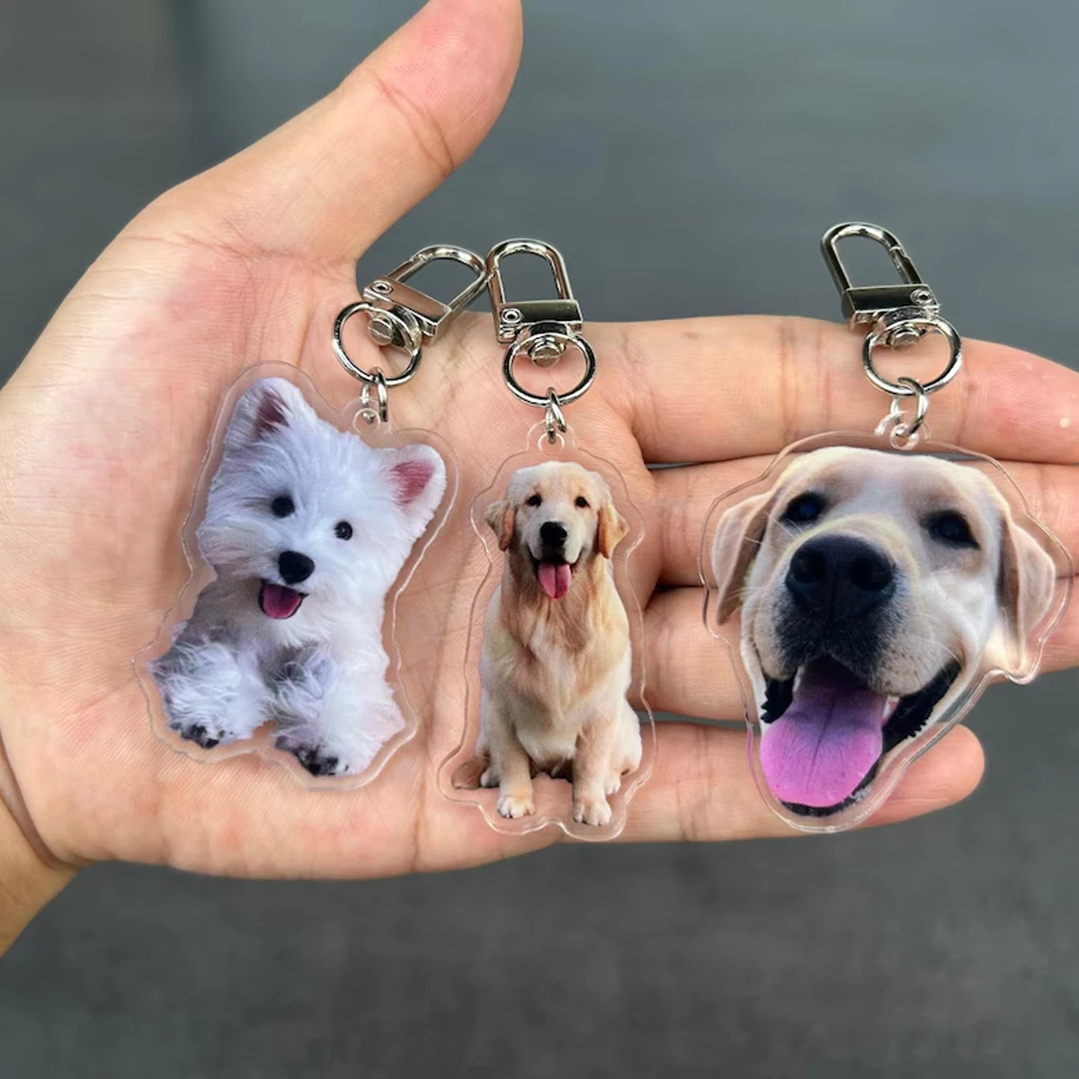 Portachiavi Personalizzato con - Pet Portrait Custom recensione e prezzo