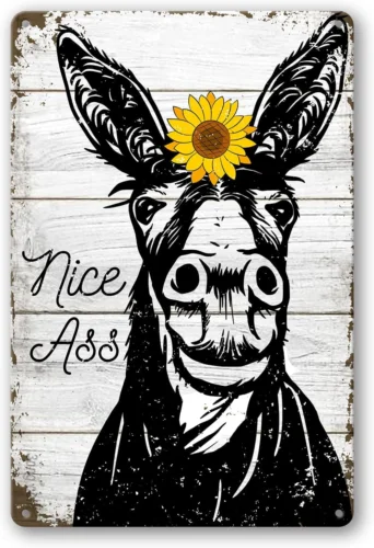 Sunflower Bathroom Decor Tin Sign Funny Metal Signs Donkey Wall Art Flush the To sign