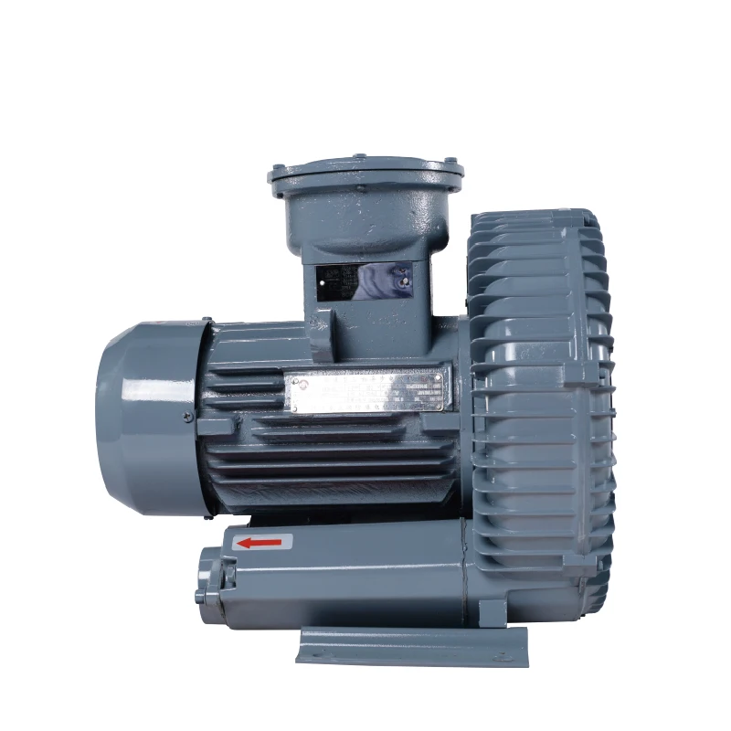 High Pressure Customized 380v/50hz Air Compressor Ring Electric Air Blower for Pneumatic Conveying