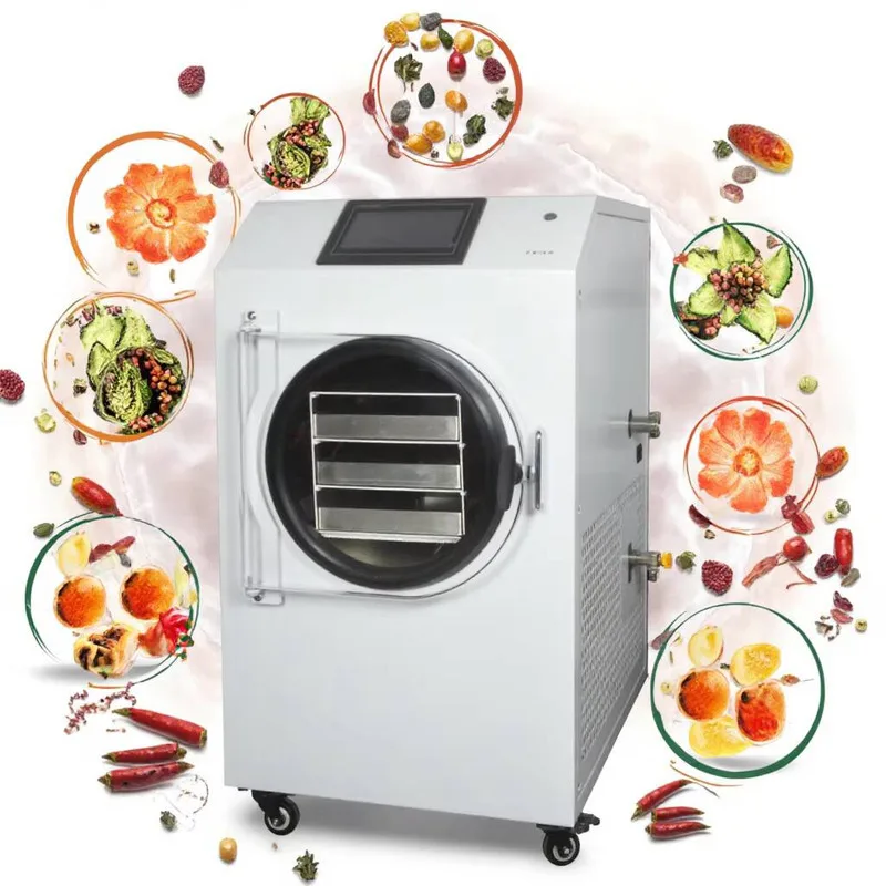 

Laboratory Lyophilizer High Quality Mini Drying Hine Food Fruit Dehydrators Home Freeze Dryer For Sale