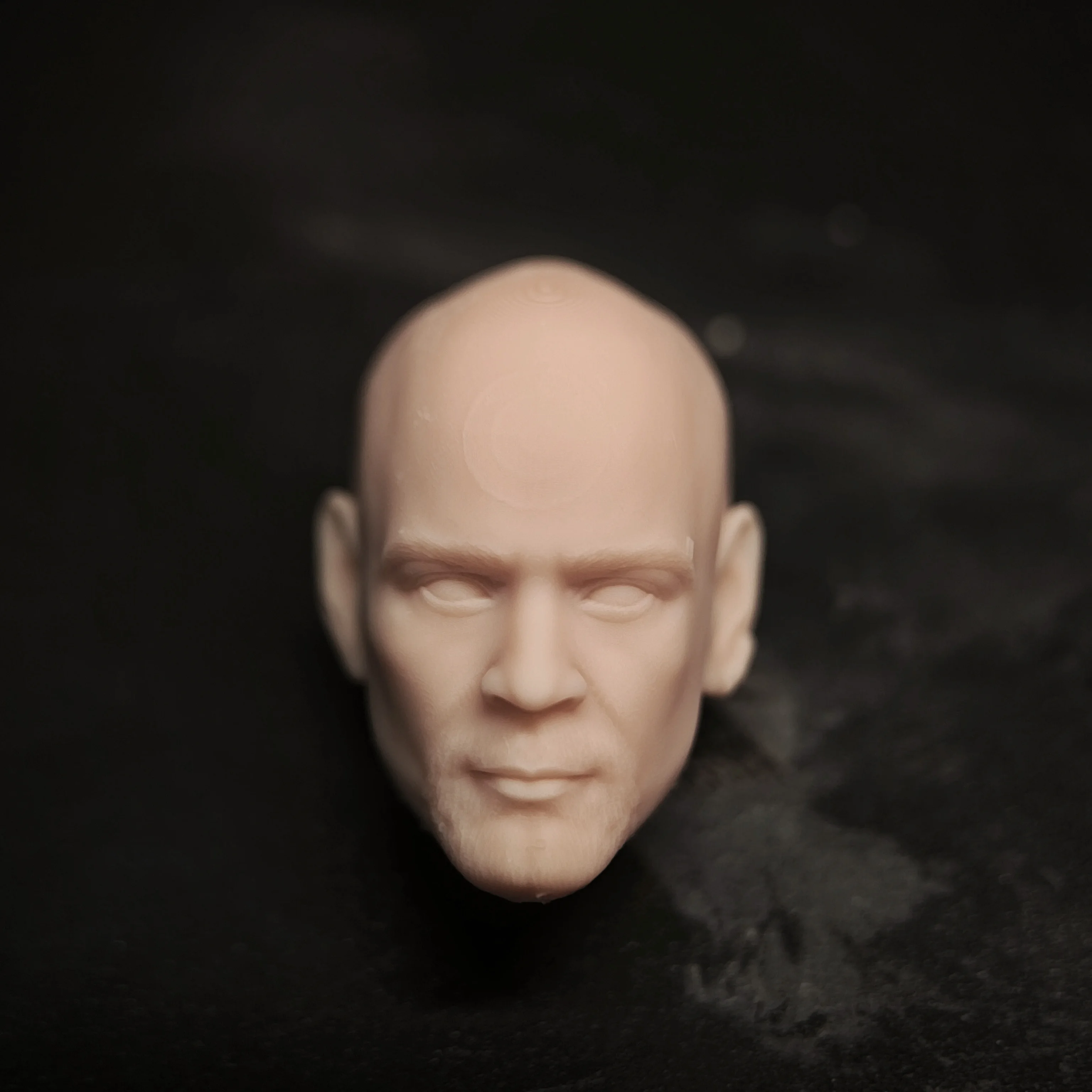 HL1692 DIY Customized 1/18 1/12 1/10 Scale Unpainted Head Sculpt for 3.75