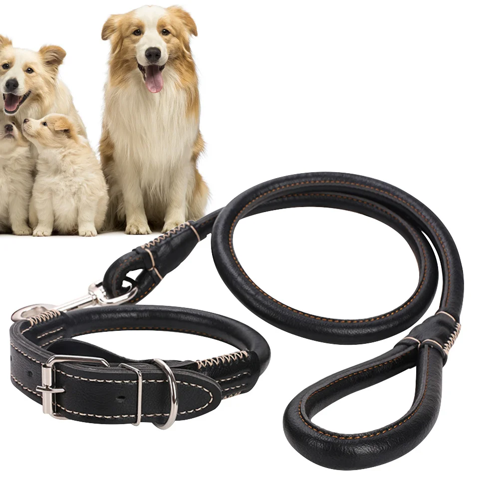 

Dog Collar Nylon Durable Adjustable Pet Neck Strap Black S Size For Small Medium Dogs Puppy Pet Supplies Traction Rope