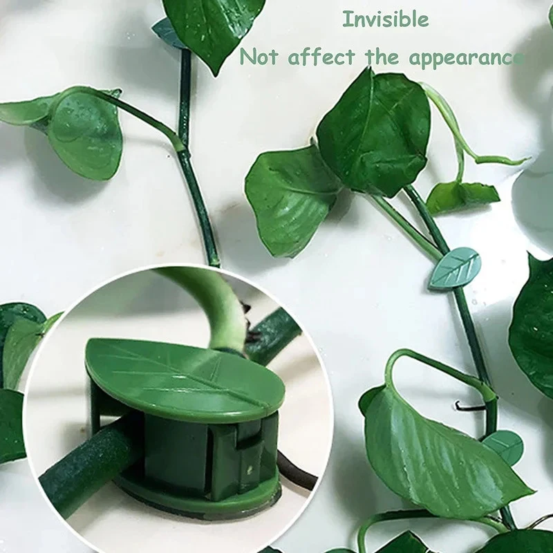5-100Pcs Plant Climbing Wall Fixture Clips  Self-Adhesive Invisible Vines Hook  Support Garden Wall Fixer Wire Fixing Snap