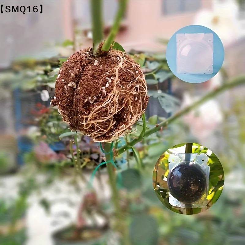 10Pcs Plant Rooting Ball Propagation Box High Pressure Grafting Cutting And Rooting Kit Planting Nursery Pot For Home Farm【SMQ】