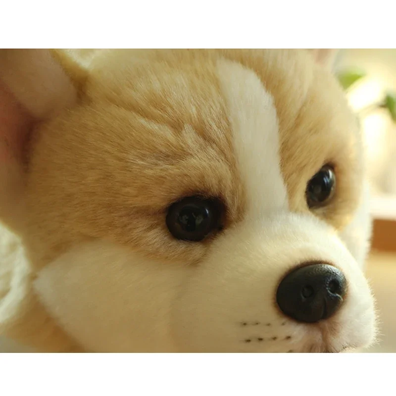 Juguete de peluche de perro Corgi Galés para niños, cachorros de Pembroke, Animal de peluche de la vida Real, simulación suave, muñeca para niños, regalos de cumpleaños