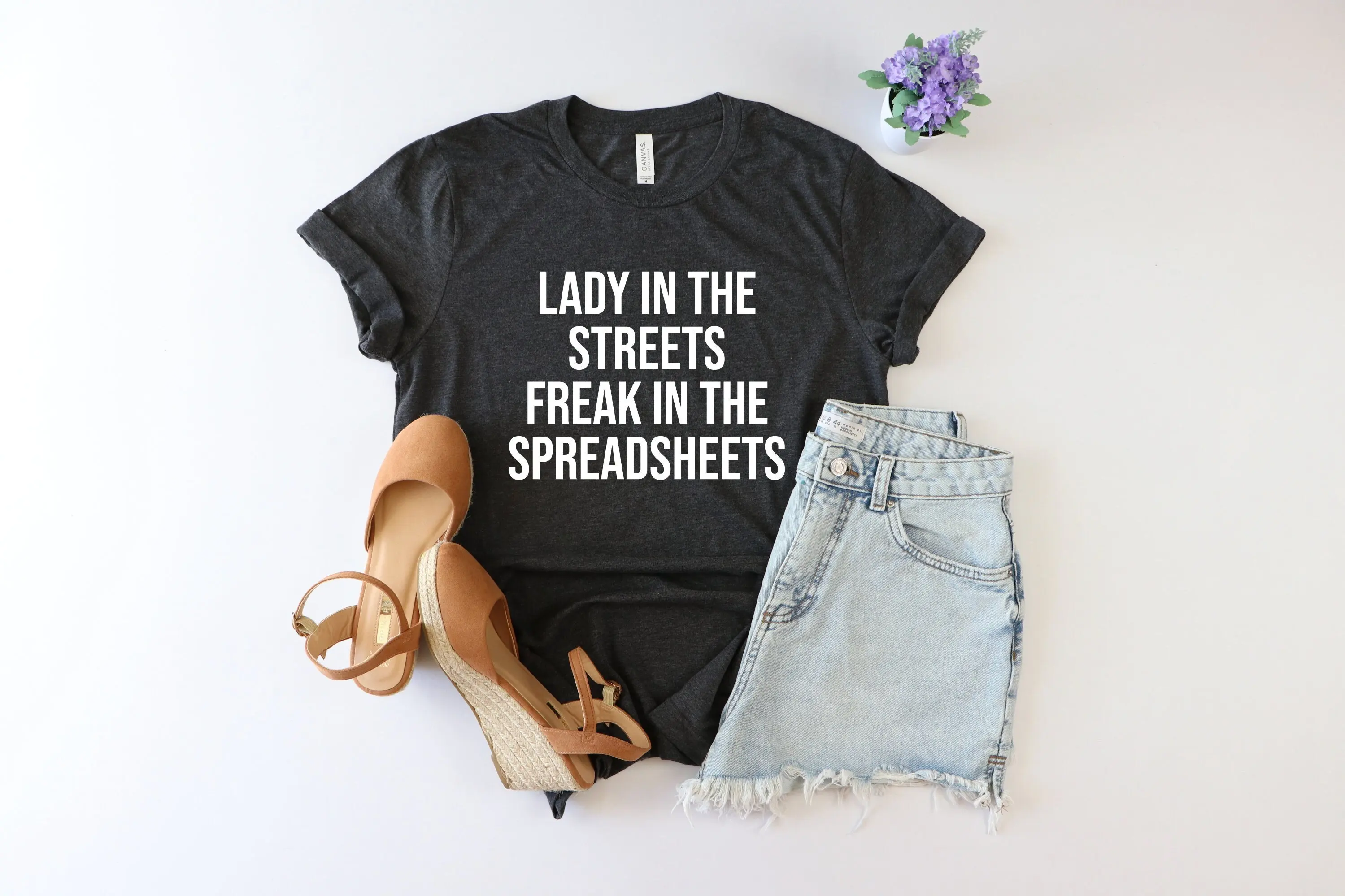 Lady in the Streets Freak Spreadsheets CPA shirt accountanT T gift New assistanT