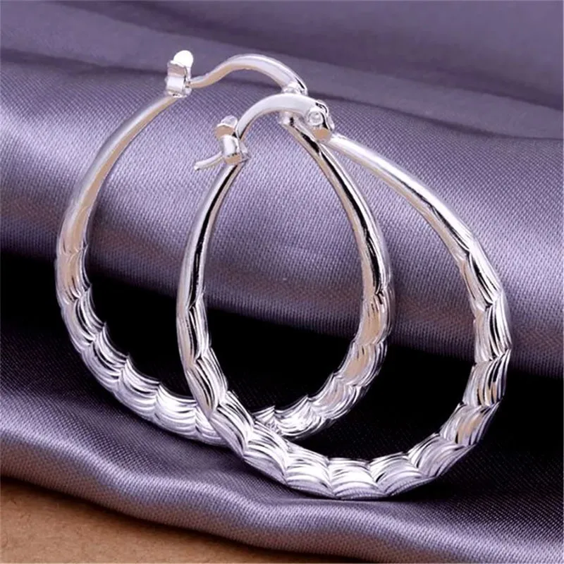 925 Sterling Silver Hoop Earrings for Women, Wedding Hook, Beautiful Jewelry, Cute Gift, High Quality, Fashion