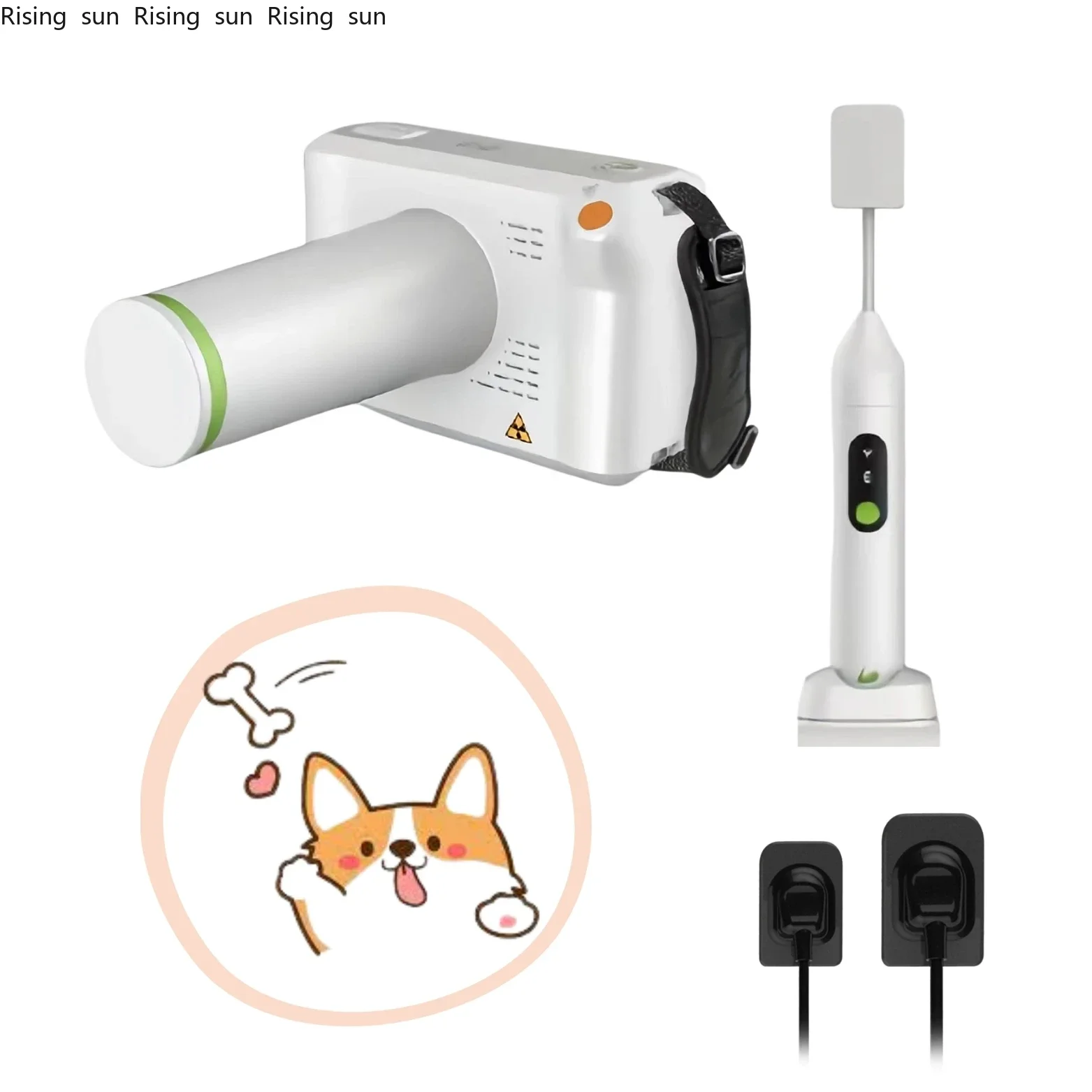 

Veterinary Den-tal DR Pet Oral Digital Imaging System Animal Den-tal X-ray