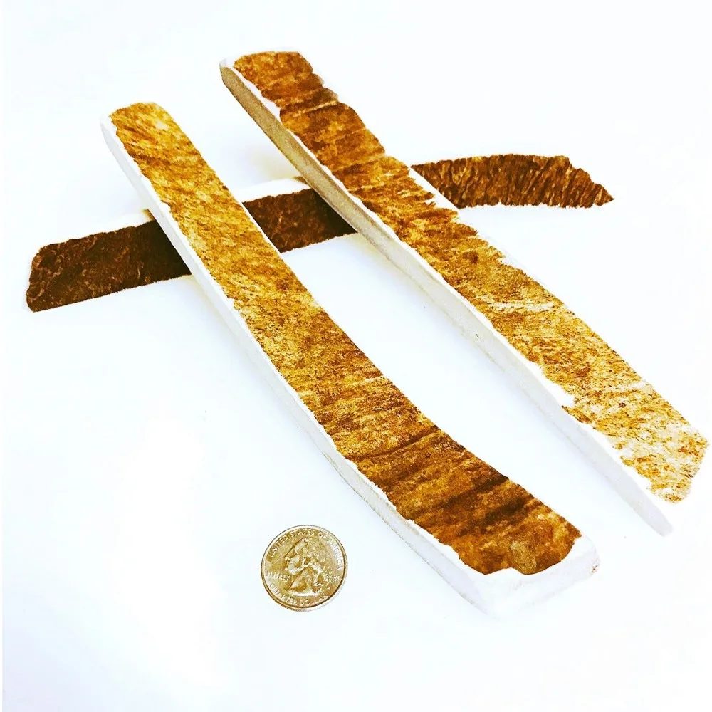 

Medium Moose Munchers, упаковка из 3 штук — жевательная собака с рогами лося — класс A премиум — органический — сделано в США — без беспорядка