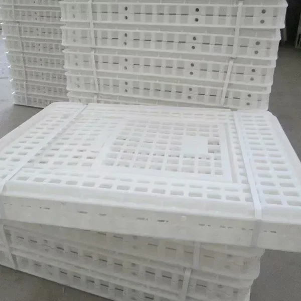 Custom New Live Plastic Chicken Transport Crates Turnover Transport Boxes For Poultry 1-Year Warranty Chickens Cage