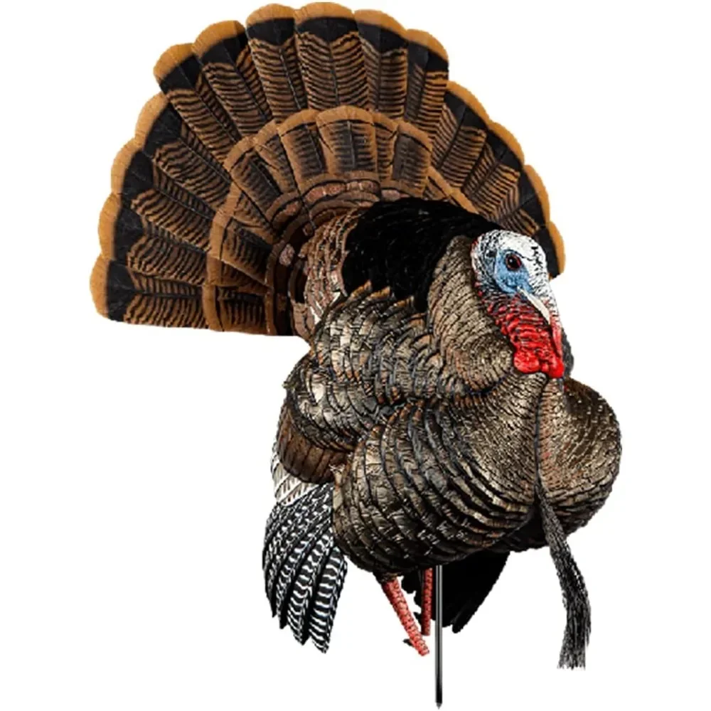 

Turkey Decoy - Rugged Durable Dominant Body Standing Hunting Decoy with 2 Removable Heads & Wings, Beard, Adjustable Tail Fan