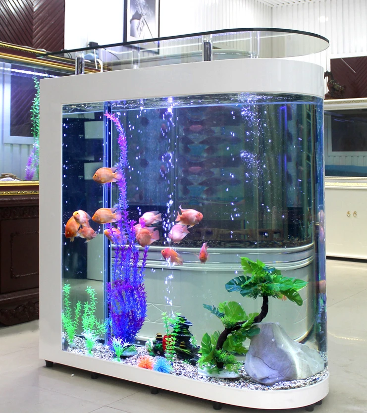 

Bullethead goldfish tank, large floor to ceiling landscape aquarium, fish tank for lazy people, no need to change water