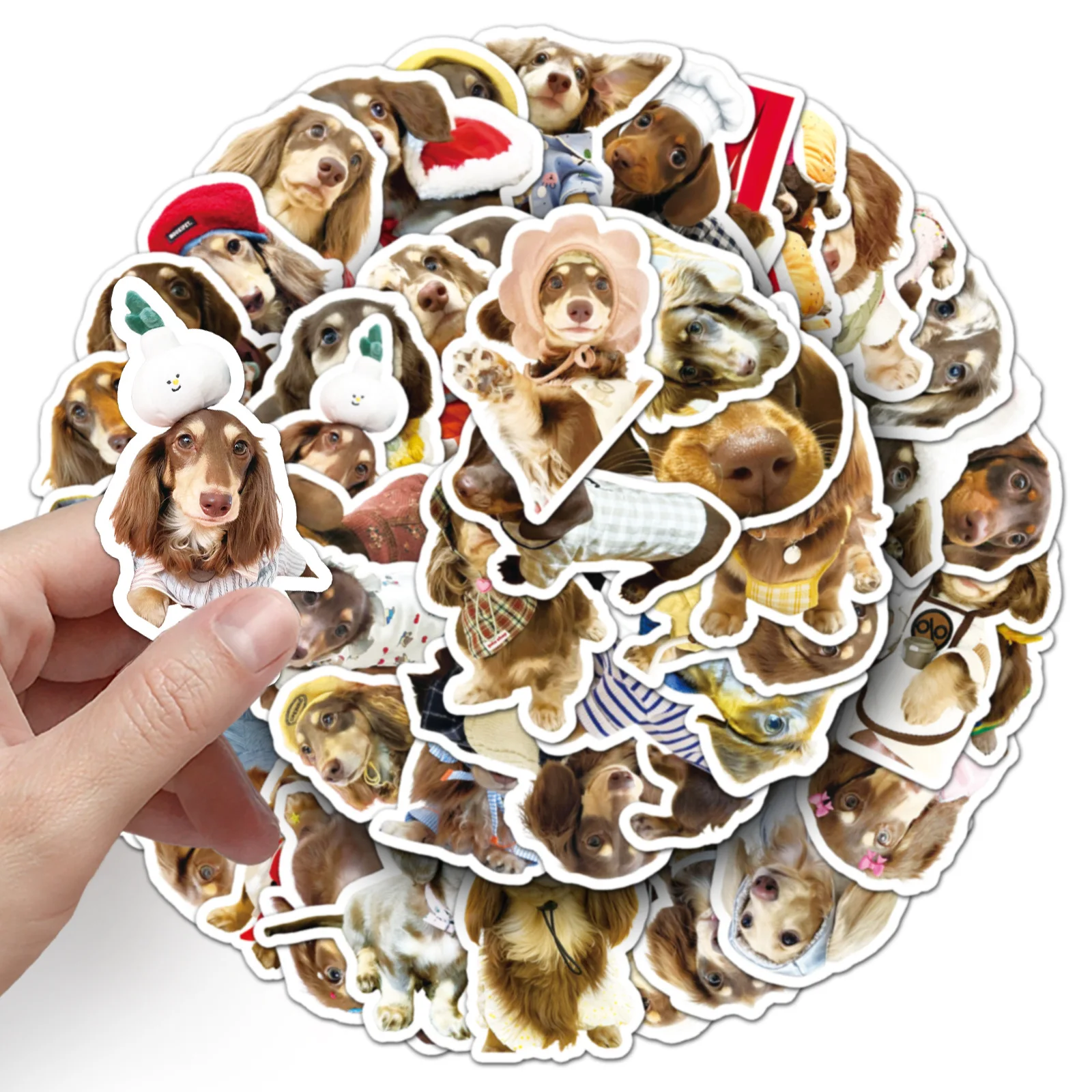 50Pcs/Set Dachshund…