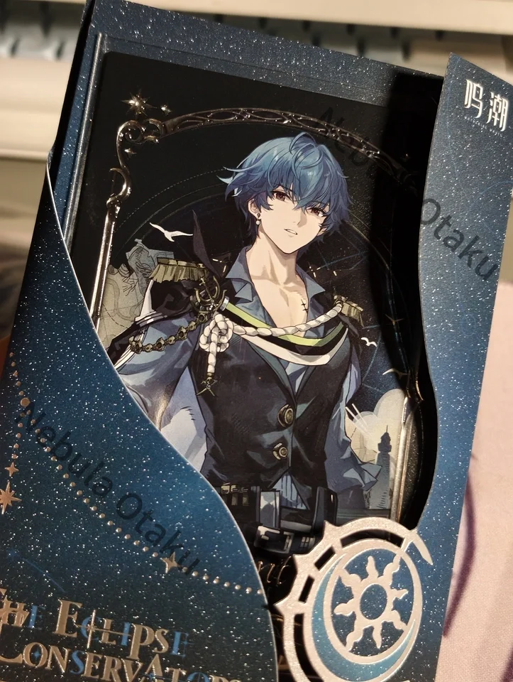 Wuthering Waves IUNO Brant CHISA Collection Card Case Set Cards Ornament Cosplay Official Legal Copy Exquisite Gifts Anime