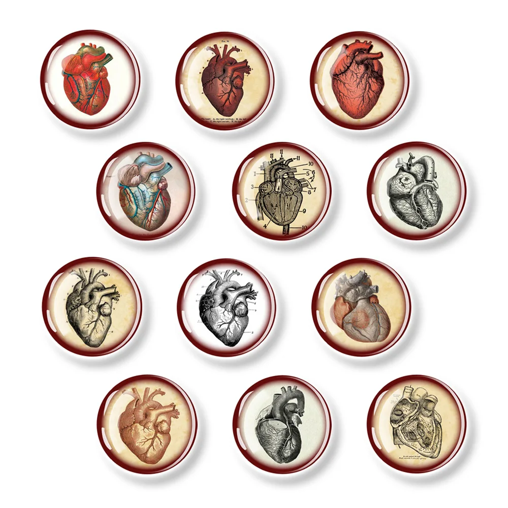 12pcs Refrigerator Magnets Heart Decoration Kitchen Memo Fixing Magnets Round Glass Material Home Gift for Physiology Enthusists