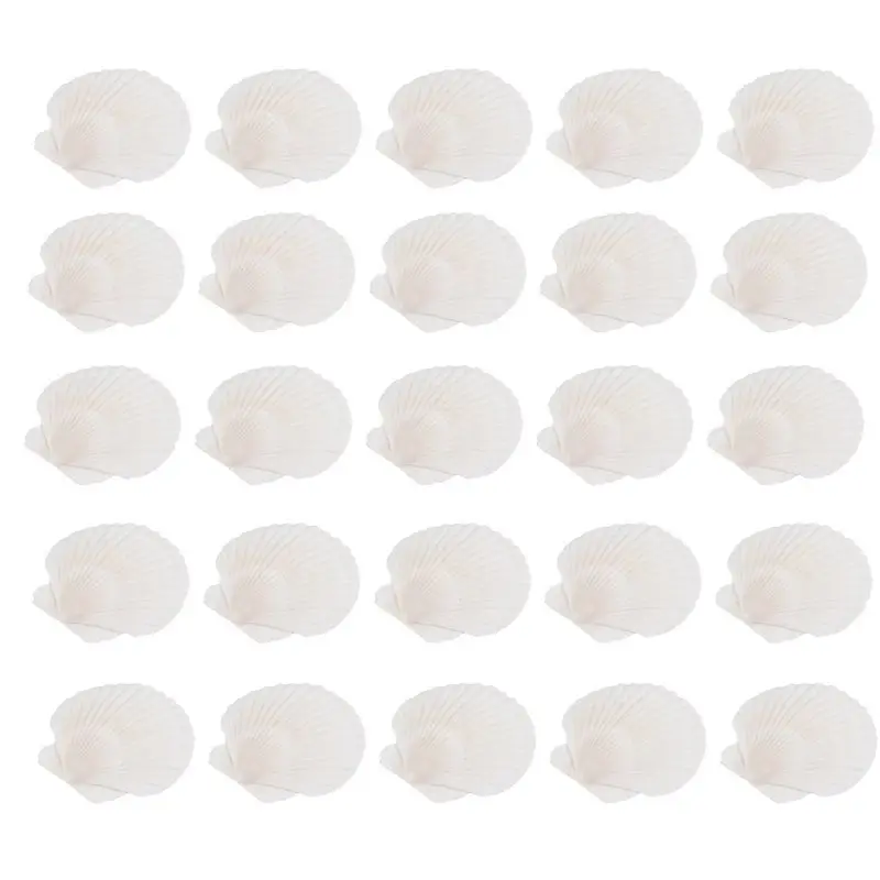 

A56P-Large Scallop Shells For Crafts 4" - 5" White Scallop Shells Crafts DIY Painting Beach Party Decoration