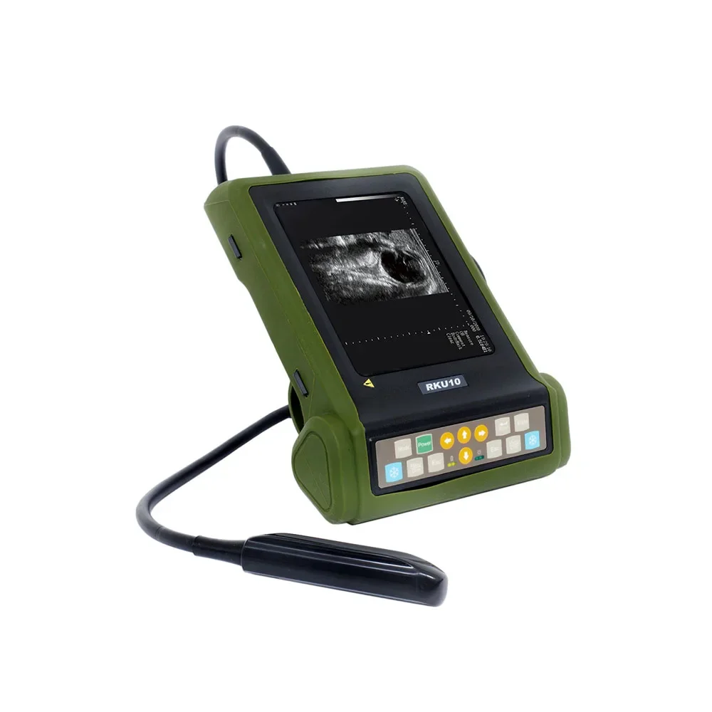 Kaixin Rku10 Handheld Dierenpalm Draagbare Usg Dierenarts Draagbare Draagbare Diergeneeskundige Echografie Runderen Voor Paarden