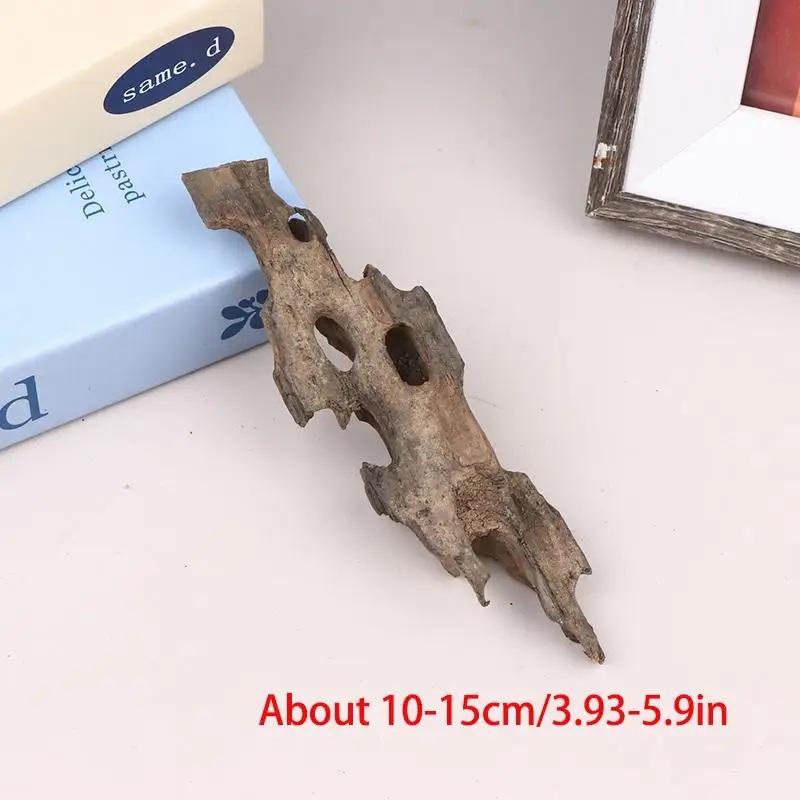 Shrimp Wood Aquarium Decor, Driftwood Water Feature Ornamental Accessories For Fish Tanks With Natural Holes Suitable For Shrimp