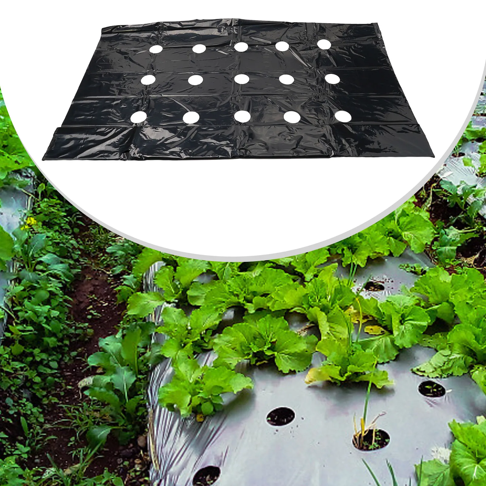 High quailty New Perforated Film Fruit Tree Keep Warm Keep Wet 5 Holes Black Garden Greenhouse Membrane Plants