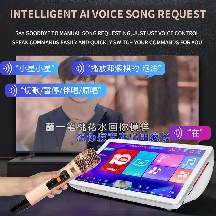 2024 Chenisok  Latest 19.5  5in1 4T Professional Portable Karaoke Player Durable Using Karaoke Machine Home Theater KTV System