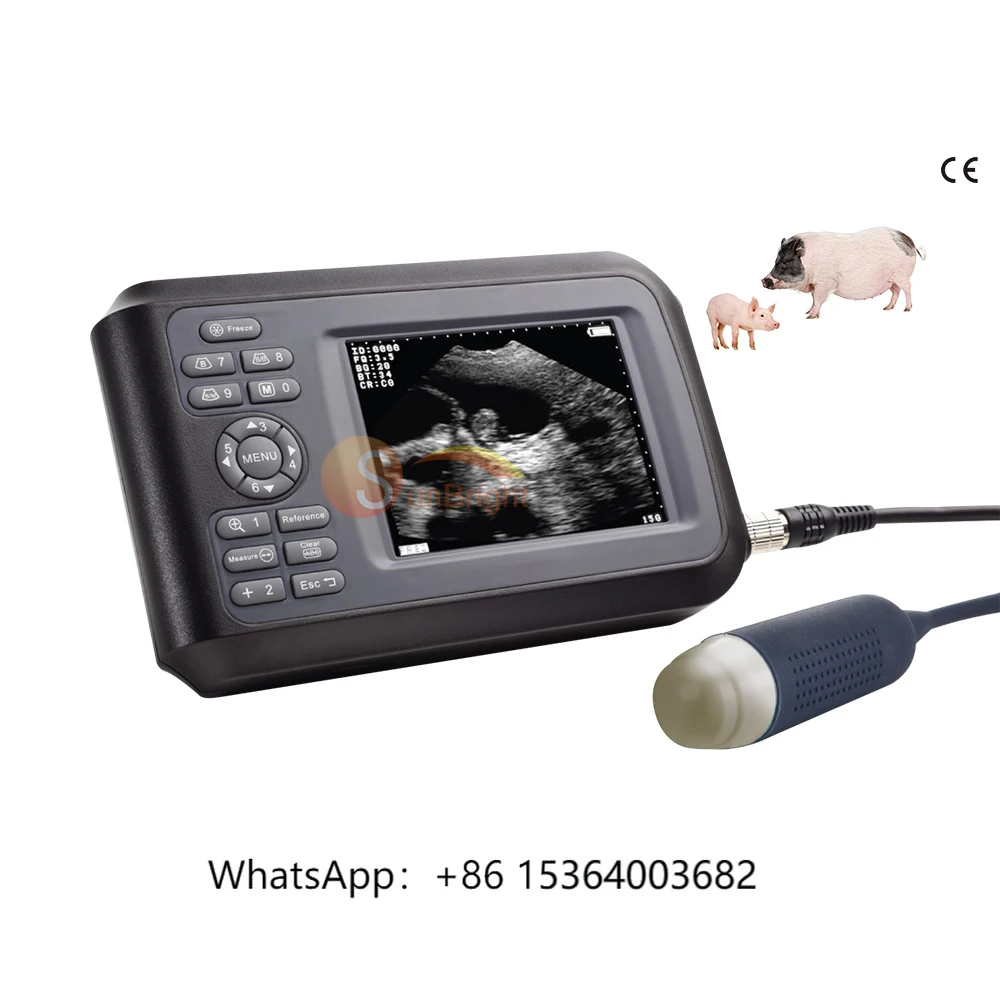 

Full Digital B Mode Veterinary Ultrasound Scanner Vet Ultrasound Scanner Machine Price Ultrasound Instruments