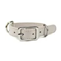 collar 1