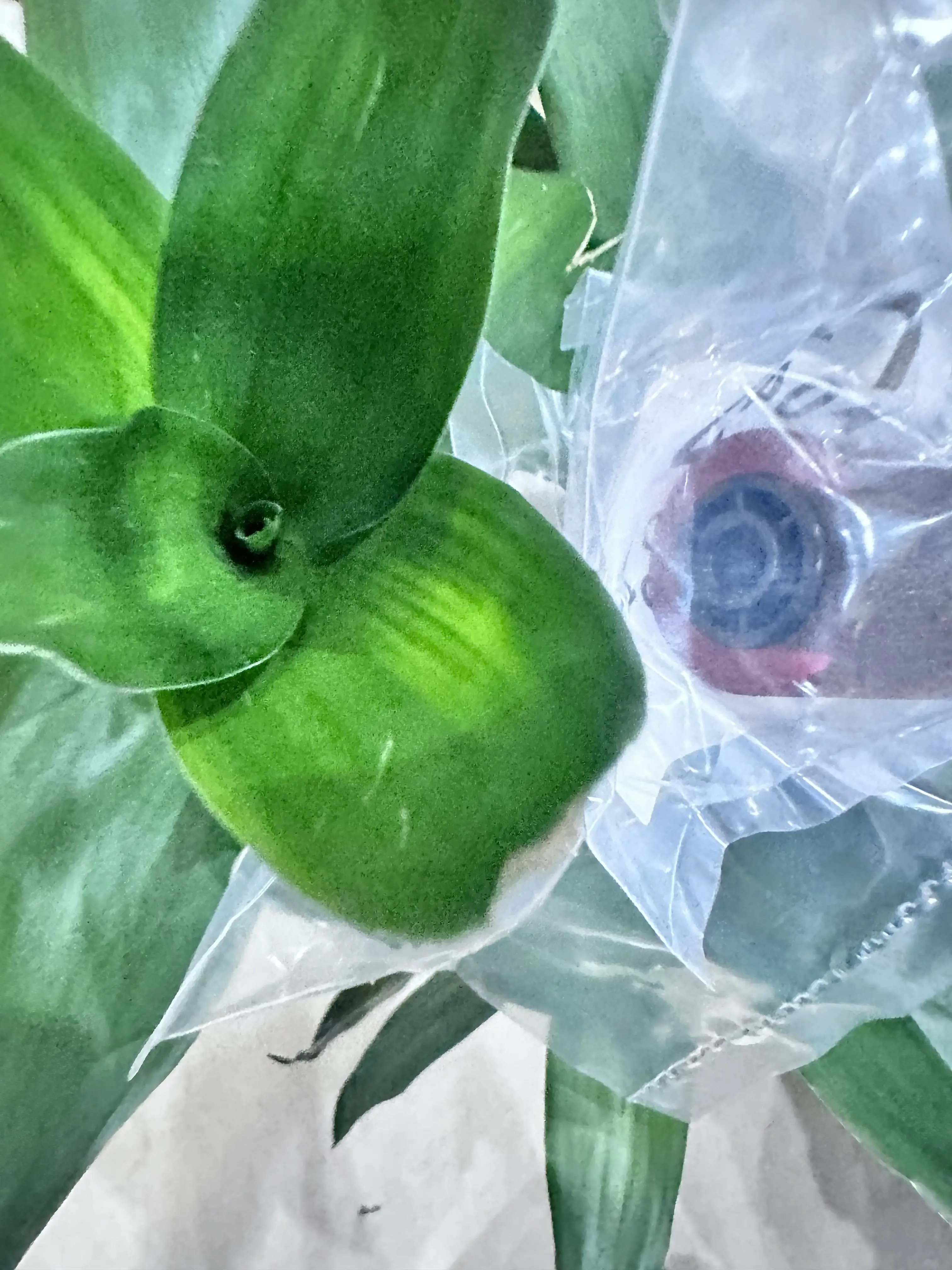 

1X 6LK41557000 6LK41558000 Paper Feed Pickup Roller for TOSHIBA 5508A 6508A 7508A 8508A 5518A 6518A 7518A 8518A 5506AC 6506AC