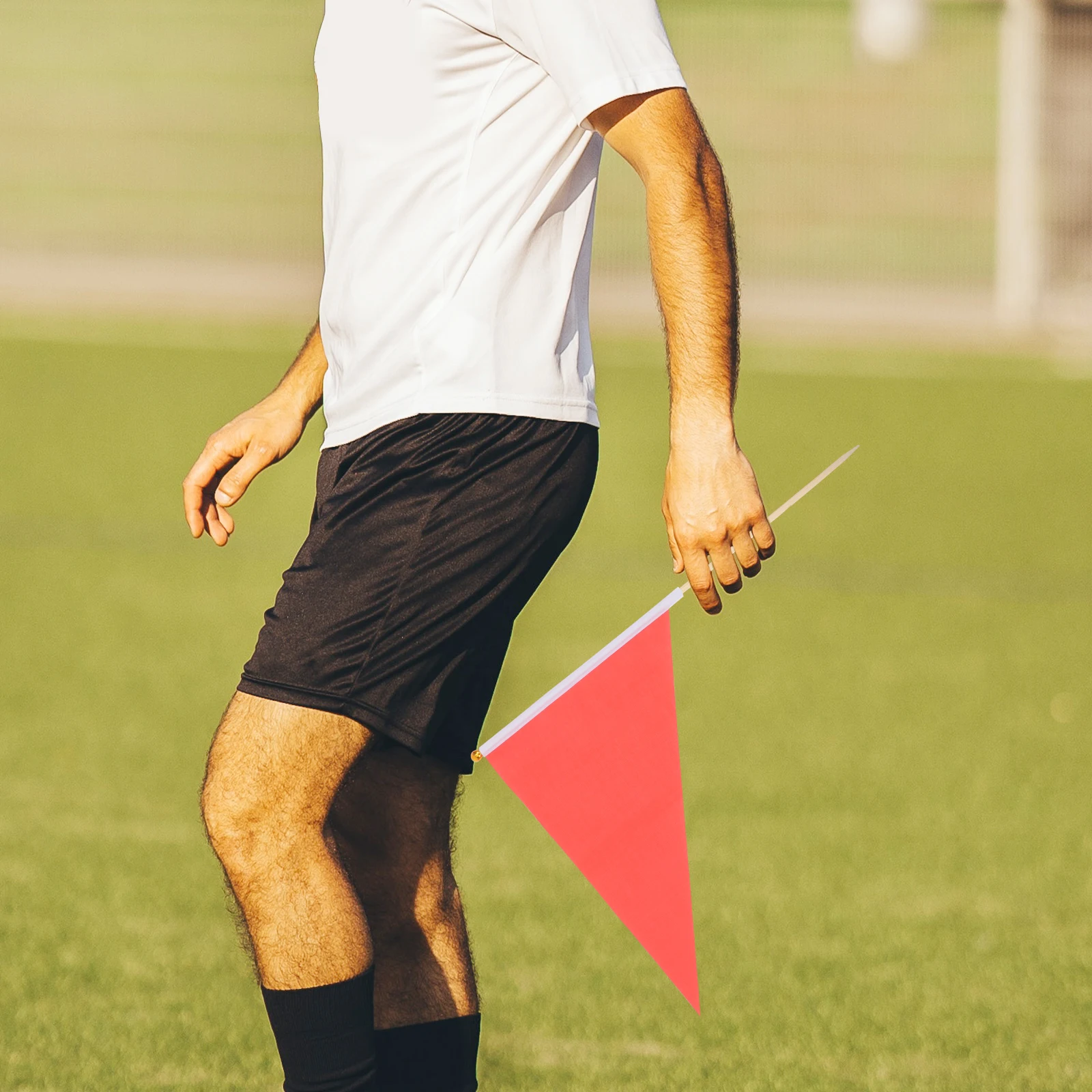 

10pcs Marking Lawn Marker Triangle Survey Boundary Flags Garden Yard Industrial Durable Polyester Random Color