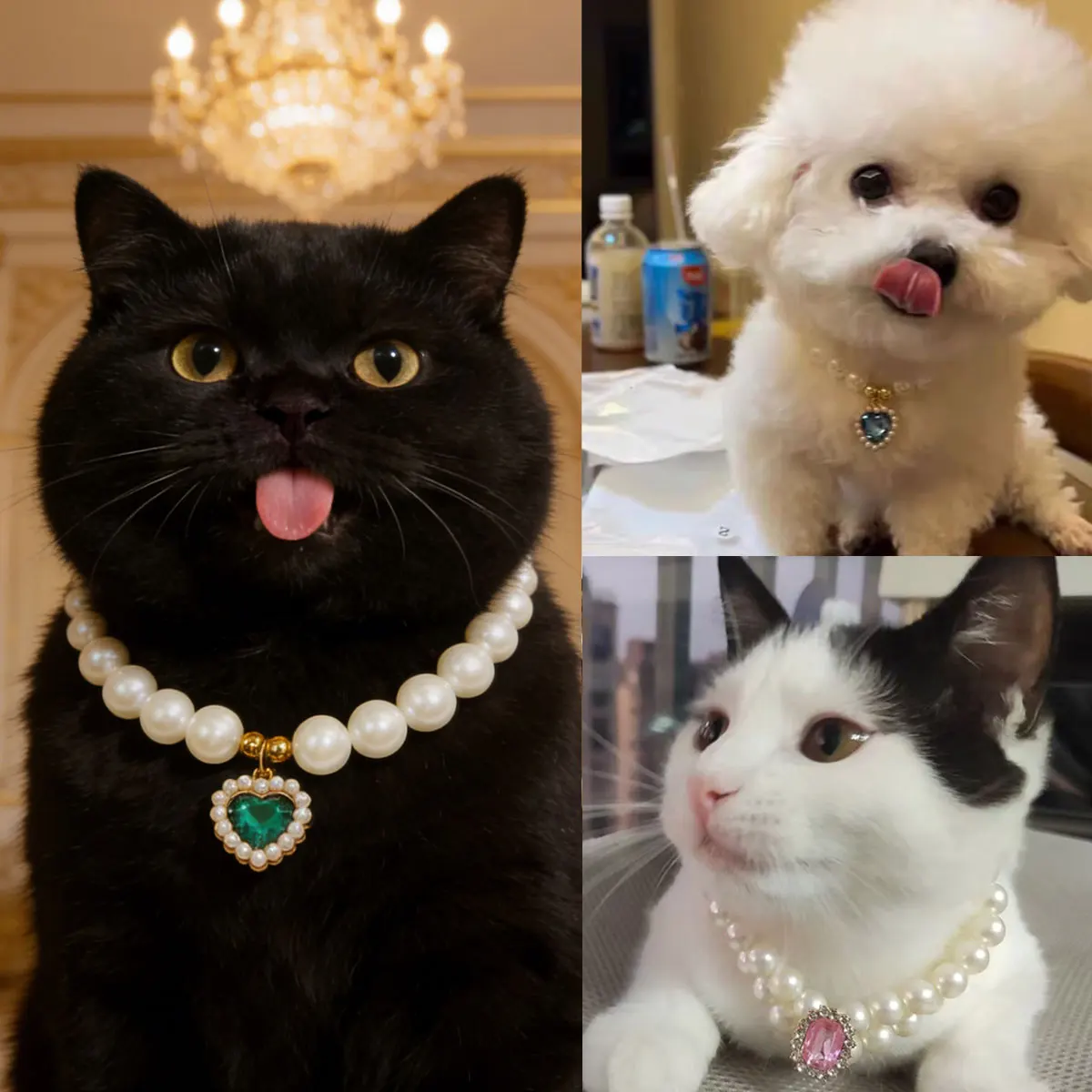 

1 Pc Cat Pearl Necklace Cats & Dogs Fashionable Retro Cute Pendant Teddy Ragdoll Daily Wear Photo Shoots Decoration.