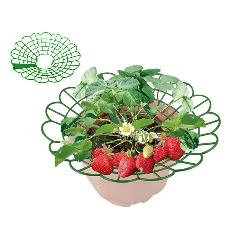 

10 Pack plant Support Frame Strawberry Growing Frame With Sturdy Legs Adjustable Strawberry Trellis Gardening Fixed Support Rack