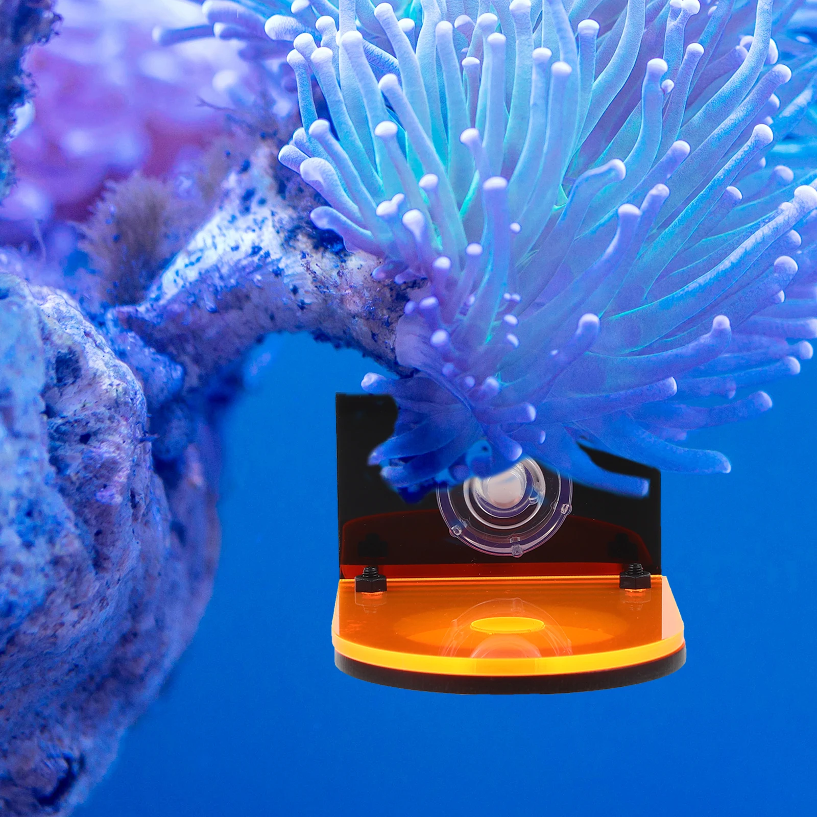 

2pcs Coral Rack Acrylic Holder Single Hole ange Yellow Wear resistant Aquarium Acrylic Coral Frags Holder Decorations