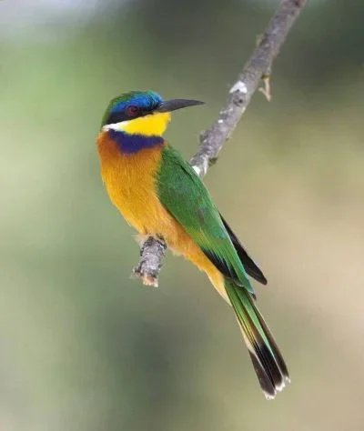 

12mm Hex For HSP HPI 1/10 On-road RC Car RC Racing Cars Accessories 4Pcs Set Racing Foam Tire Wheel Rim Set