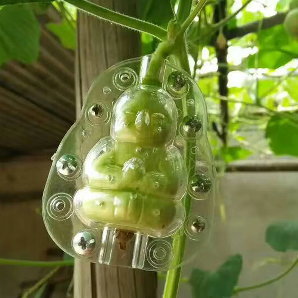 

5Pcs Fruit Growing Mold Transparent Melon Shaping Mold for Garden Vegetable Growing Shaper Sturdy Creative Fruit Accessory