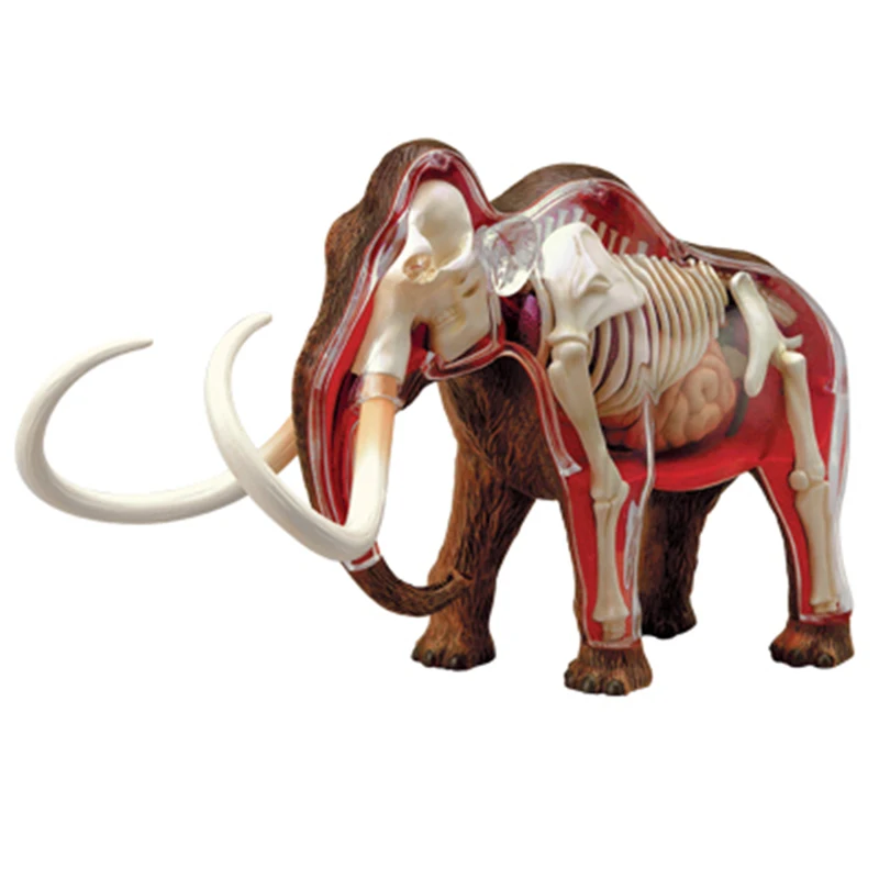 Mammoth 4d master puzzle montagem brinquedo animal biologia órgão anatômico modelo de ensino médico