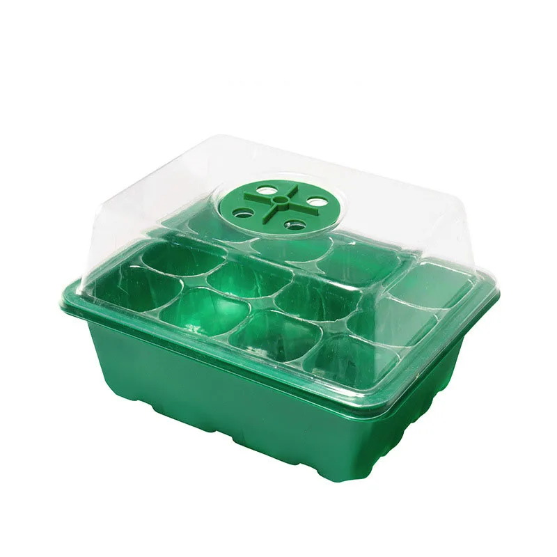 Plastic zaailingenpot met 12 putjes, sappig zaailingenbox, geïsoleerd zaailingenbakje
