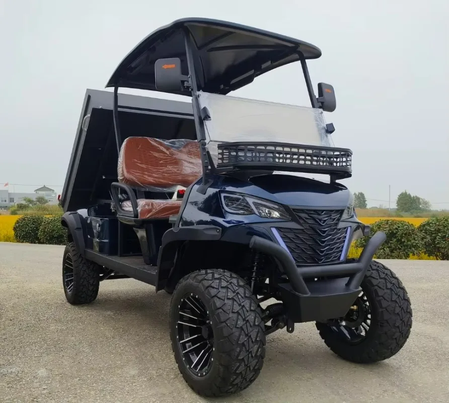 Airo Customized Electric 72V Pickup Truck Aluminum Cargo Bed 2 Seater Utility Carts Buggy Golf Cart