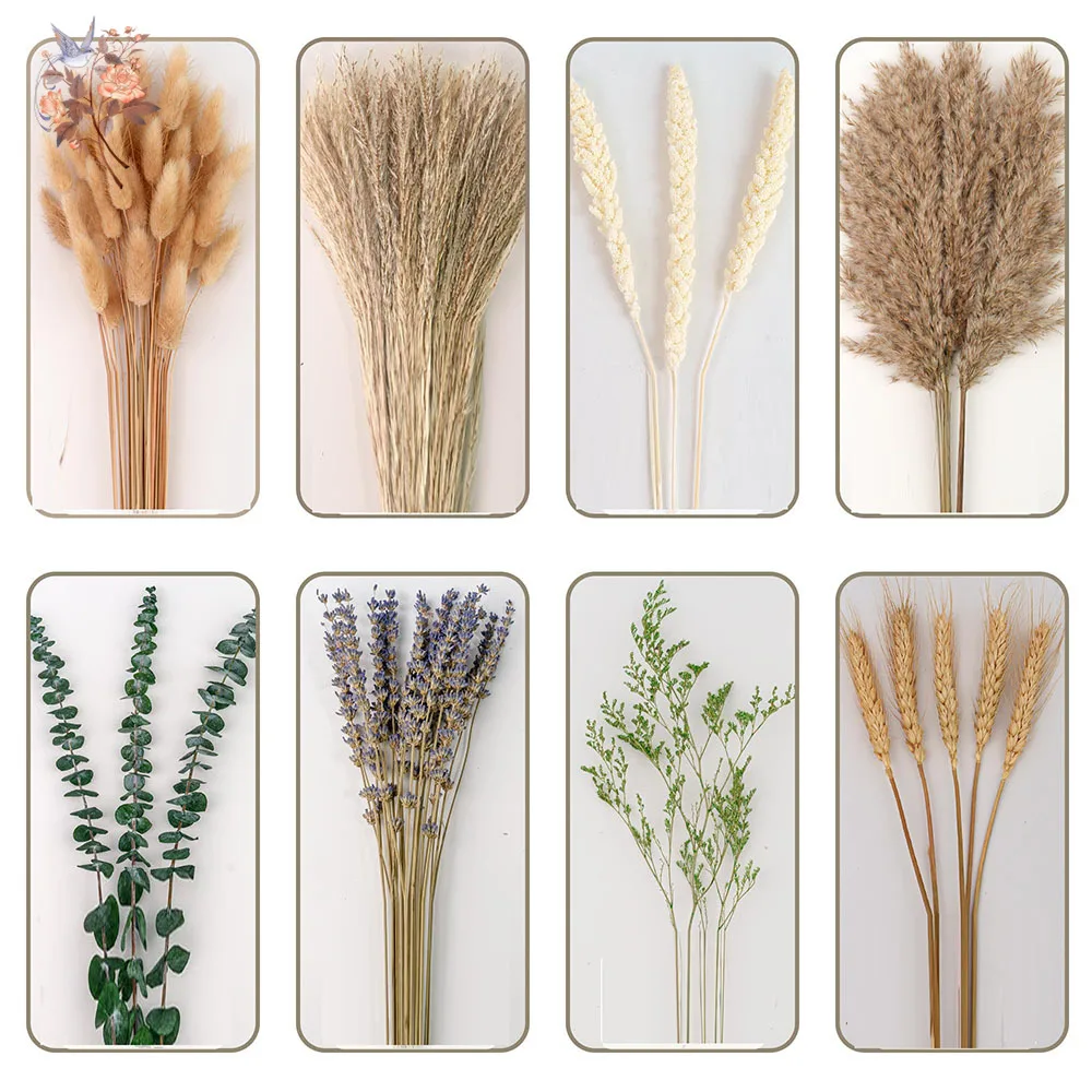 Thumbnail 4 - #54 Trending Dried Flowers Right Now