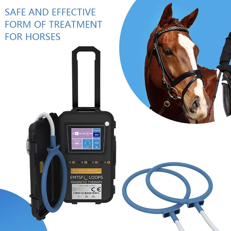 Pemf Loop Horse Magnetic Therapy Deep Oscillation Pulsed Extracorporeal Magneto Therapy Machine PEMF Therapy MAT