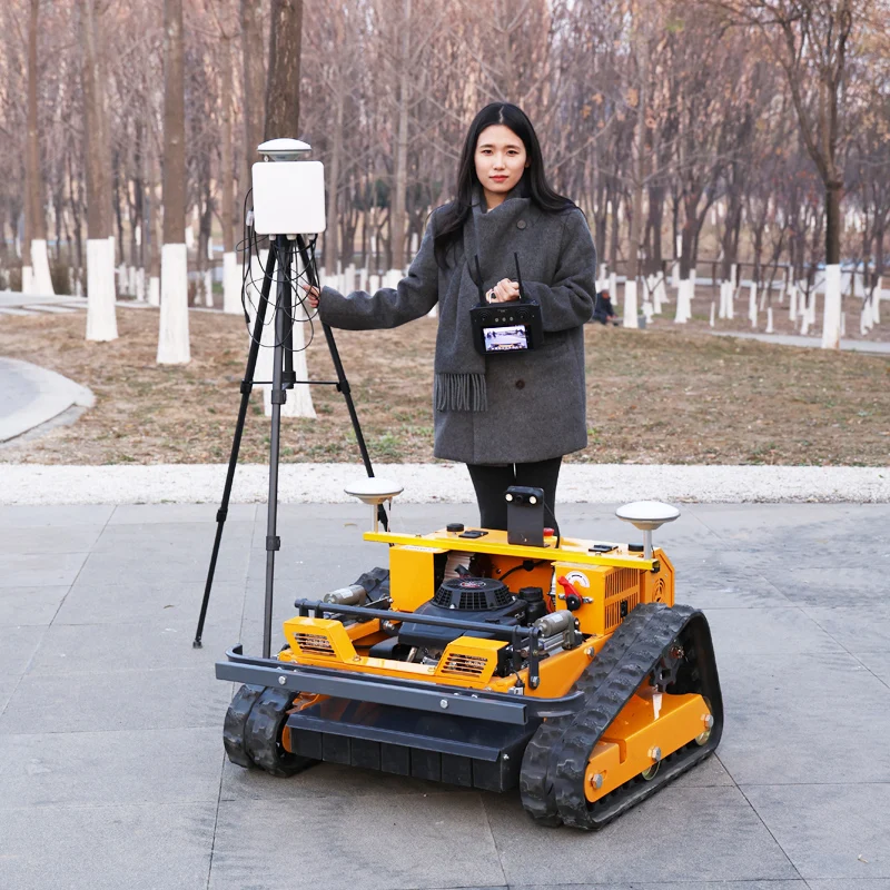 Газонокосилка высокой мощности по индивидуальному заказу без запуск. Представление, которое оберегивает длинный день.