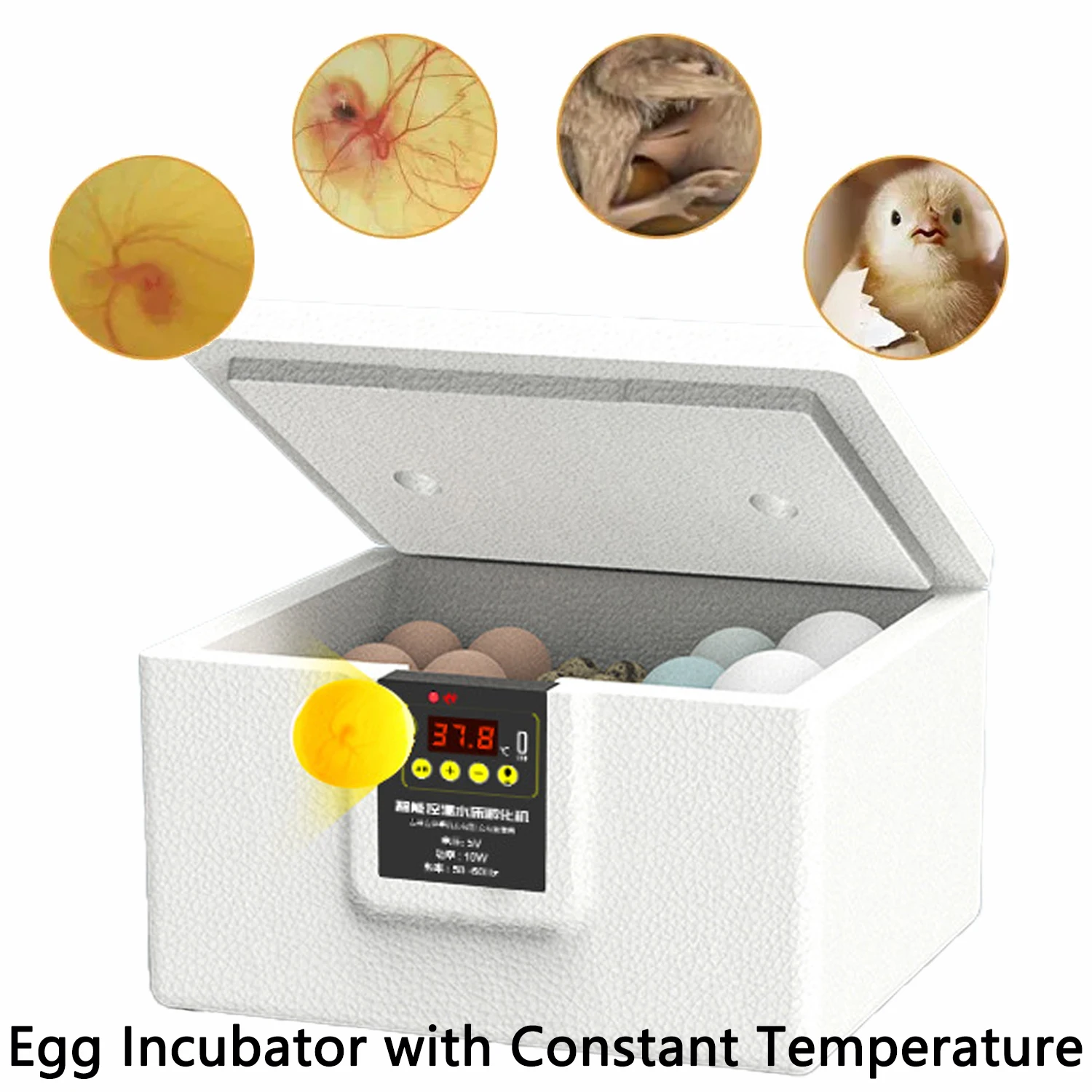 Egg Incubator Automatic Bionic Waterbed Incubator Egg Machine Thermostatic Incubator Manual Turnover All-in-One Machine