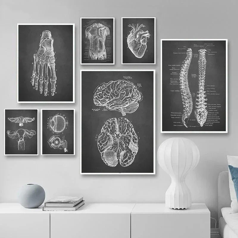 Black Wall Art Human Anatomy Canvas Painting Medical Wall Picture Skeleton Organ Muscle Poster Print Body Education Paintings